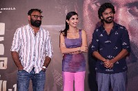 Peddha Kapu1 Movie Success Meet